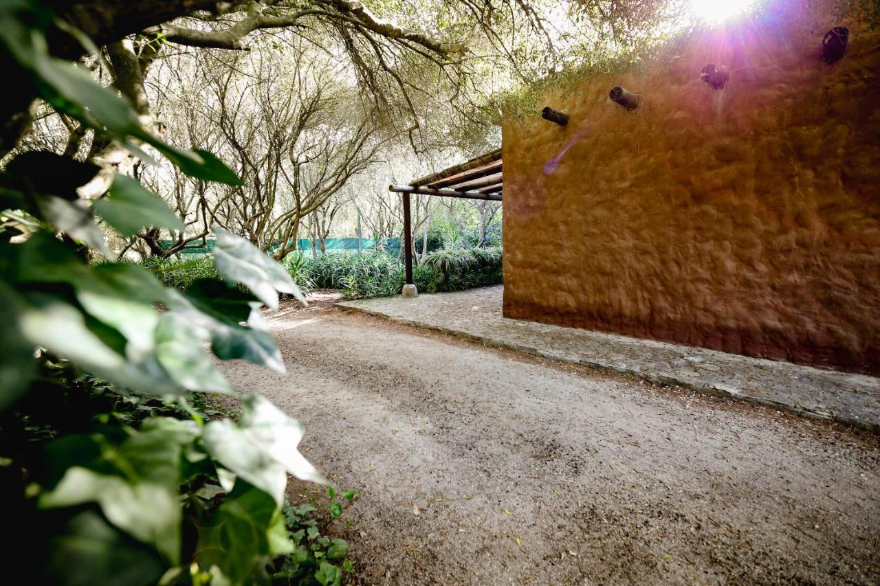 Tikal Boungalows Malcocinado (Andalucia) Exterior photo