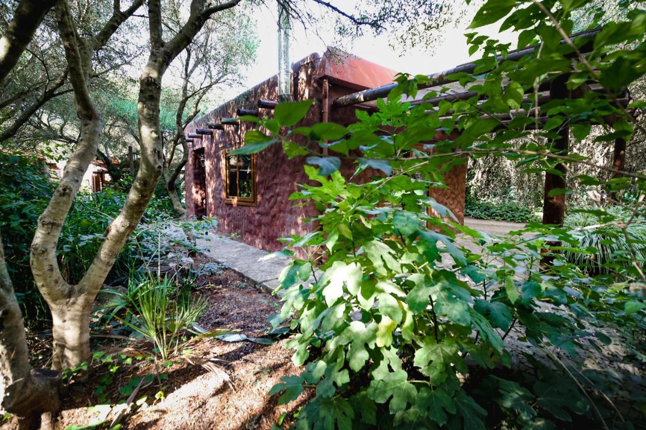Tikal Boungalows Malcocinado (Andalucia) Exterior photo